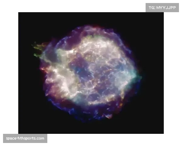 新星专访：被称为“小塔兹古拉多夫”的乌兹别克斯坦超新星谈成长之路